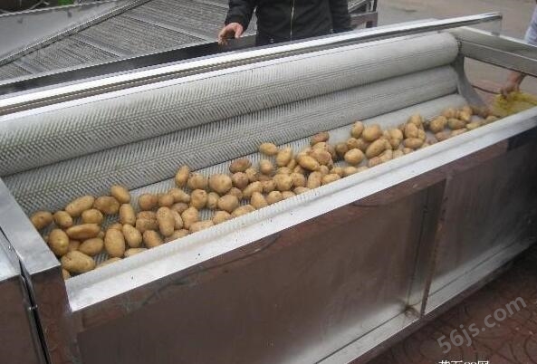 马铃薯清洗机