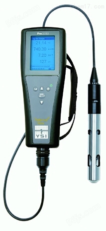 YSI Pro20 溶解氧测定仪|水质分析仪